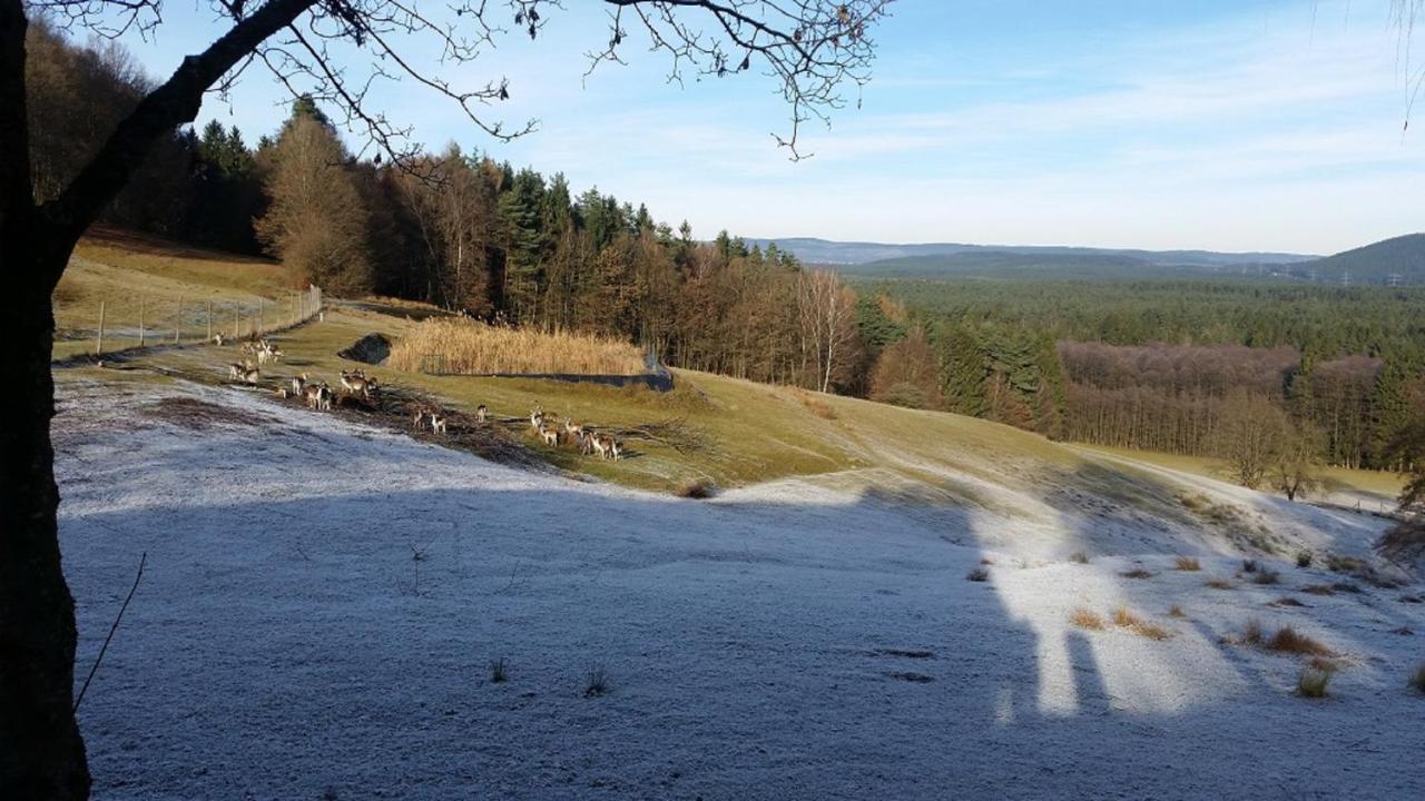Ferienhaeuser Zur Schaeferei Mitwitz Kültér fotó